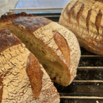 Magic Beneath the Waves