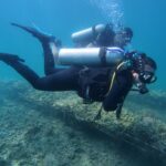 Sourdough Scoring & Bake Reveal – Tips for the Perfect Crust